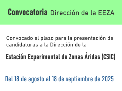 convocatoria direccion