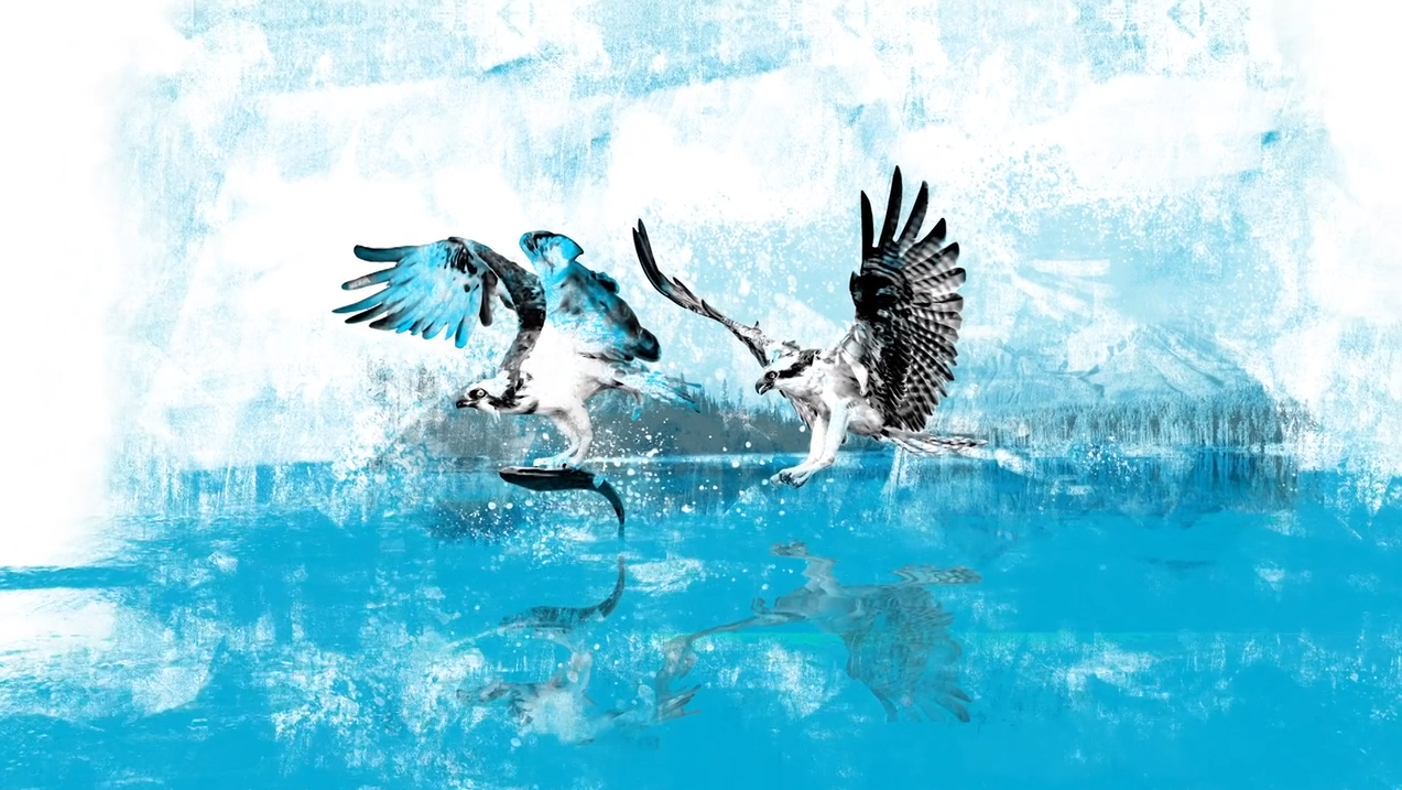 Recuperando Fauna