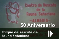 50 aniversario FEH