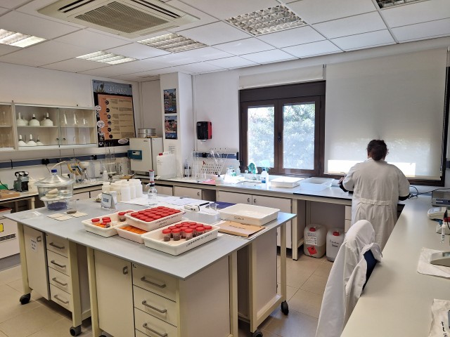 Laboratorio de Suelos 1