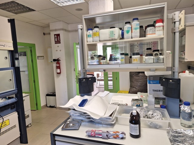 Laboratorio de Química 2