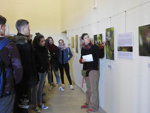 Mujer y Ciencia 1