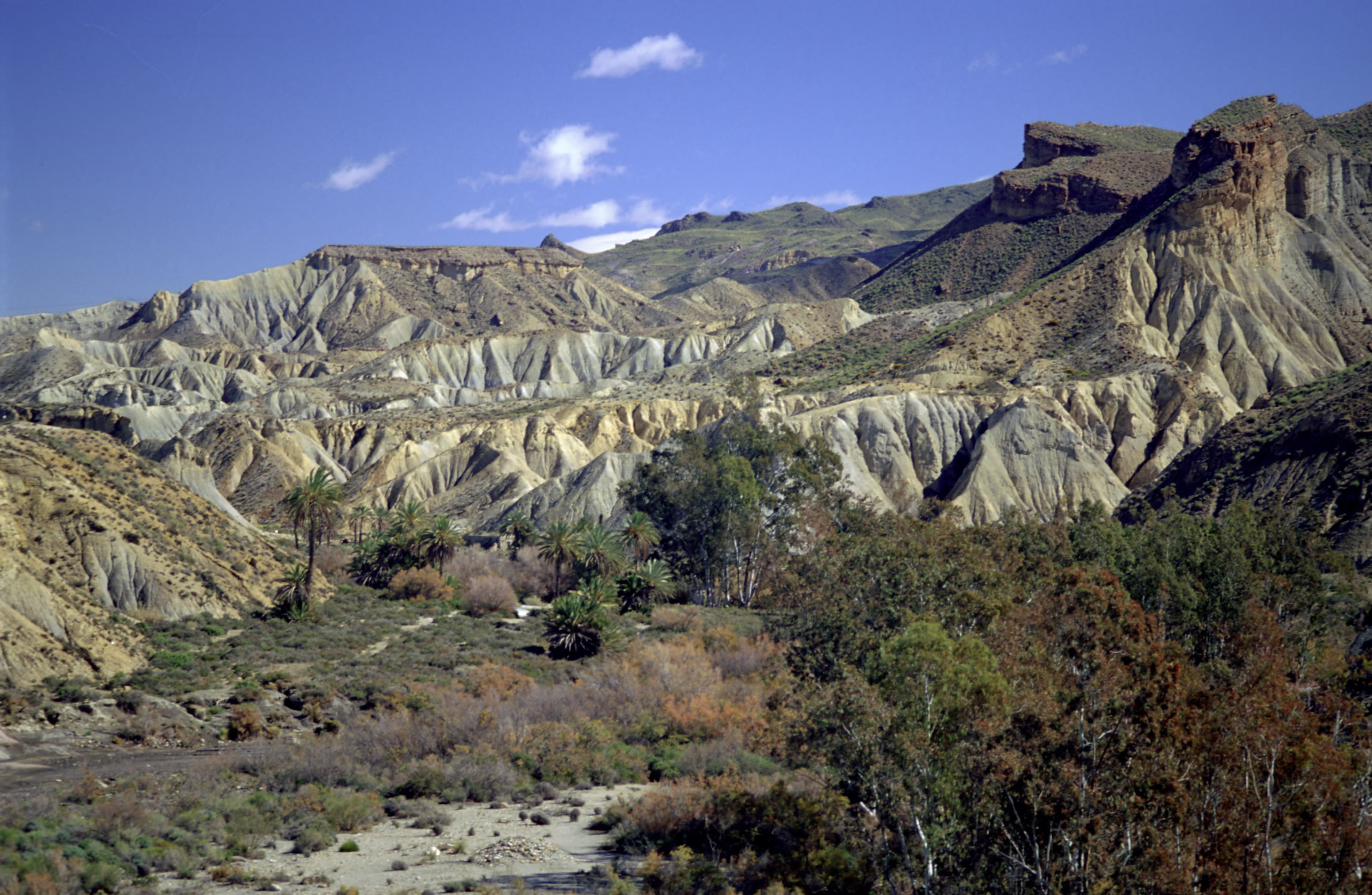 Fotografía del departamento Grupo Desertificación y Geo-Ecología de la EEZA