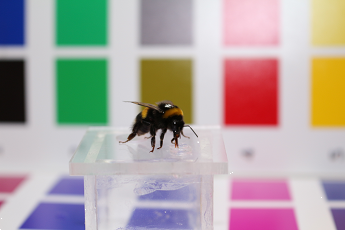 Fotografía del departamento Grupo Ecología Evolutiva y de la Conducta de la EEZA
