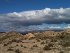Fotografía del departamento Ecologia Funcional de la EEZA
