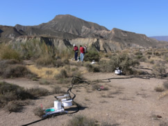 Fotografía del departamento Ecologia Funcional de la EEZA