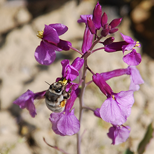 Fotografía del departamento Grupo Ecología Evolutiva y de la Conducta de la EEZA