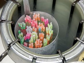Instalaciones de La Hoya